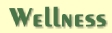 Wellness_�berschrift02